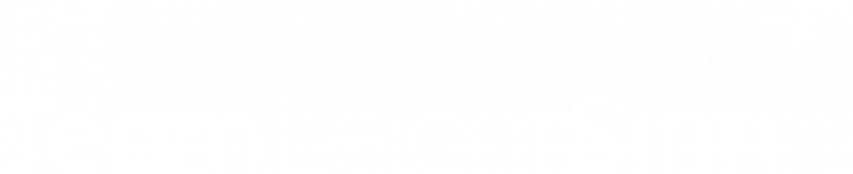 20220000 - Team LeichtSinn - logo (w)